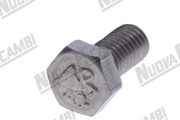 VITE INOX TE M5x10mm