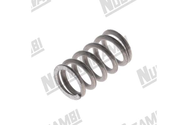 WASSER- UND DAMPFHAHNGELENKFEDER Ø 12x8,5x21,5mm GAGGIA GE/ GD