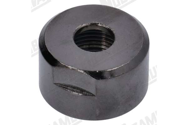 WATER/STEAM TAP FERRULE - BRASILIA