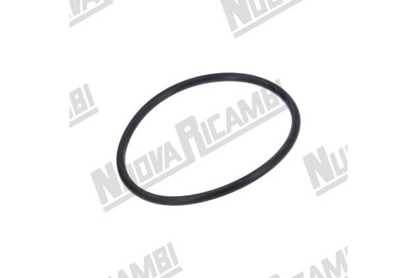 JUNTA SUJETA-DUCHA GRUPO EROGACION CON ANILLO