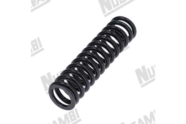 MUELLE GRUPO LEVA NEW