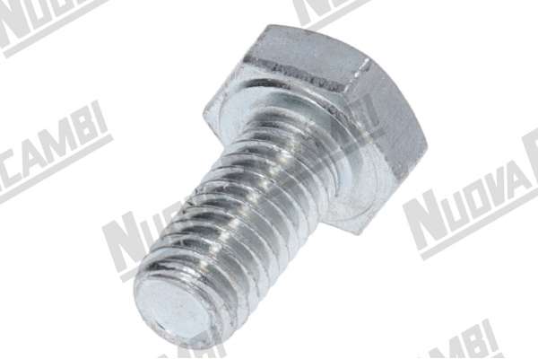 VITE ZINCATA TE M6x12mm