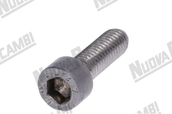 VITE INOX TCEI M6x20mm