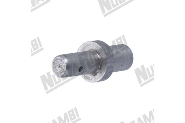 EJE GUIA  ASTA MICRO - FAEMA E64/ P4