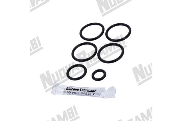 OR GASKETS KIT FOR AUTOMATIC WATER SOFTENER HEAD - AUTOTROL 255/440
