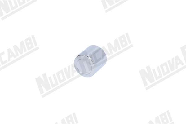 PULSANTE EROGAZIONE CROMATO FAEMA E/91