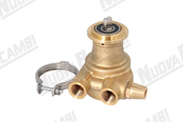 VOLUMETRISCHE PUMPE NUERT SCHELLENANSCHLUSS 100 Lt AUSGEWOGENER BYPASS VERBINDUNGEN 3/8F MIT SPANNSCHELLE