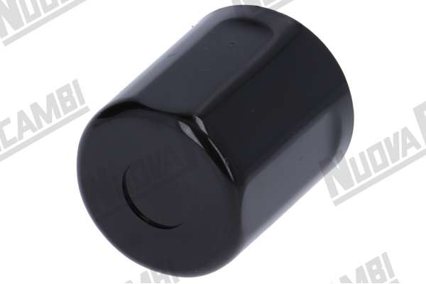 WATER/STEAM TAP KNOB ASSEMBLY - GAGGIA E90/ D90
