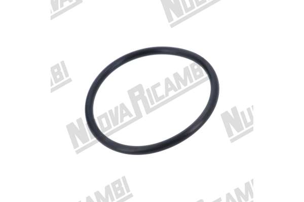 JUNTA BRIDA GRUPO LEVA