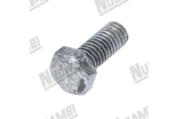 VERZINKTE SCHRAUBE TE M5X12mm