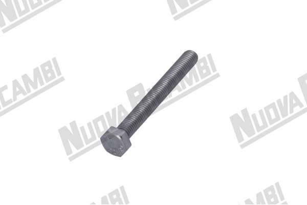 STAINLESS STEEL GRINDING REGULATION SCREW - TE M8x70mm - MAZZER ROBUR/ SUPERJOLLY/ MAJOR/ MINI