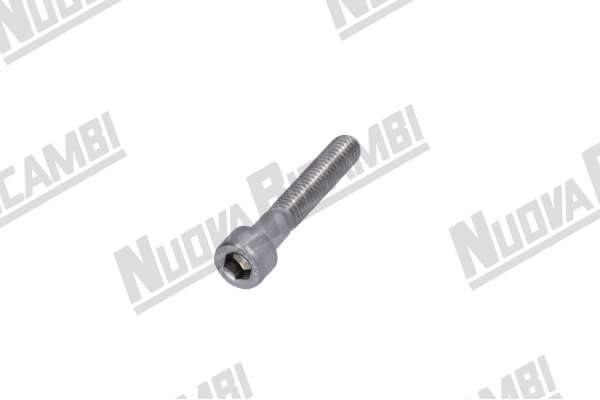 STAINLESS STEEL BREWING GROUP RING FIXING SCREW -TCEI M6x35mm - NUOVA SIMONELLI/ VICTORIA ARDUINO BLACK EAGLE