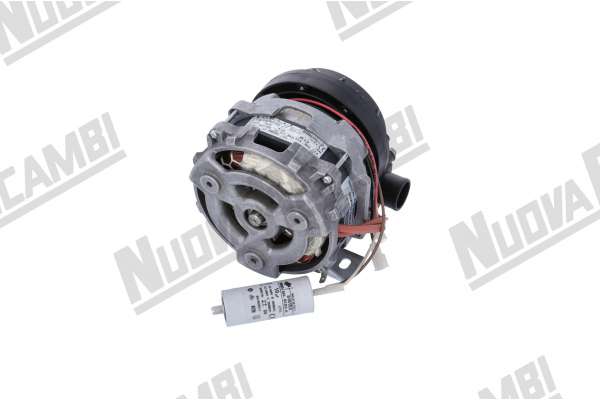 (N4244) ELETTROPOMPA KW 0,20 -HP 0,25